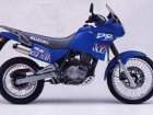 Suzuki DR 650R / S